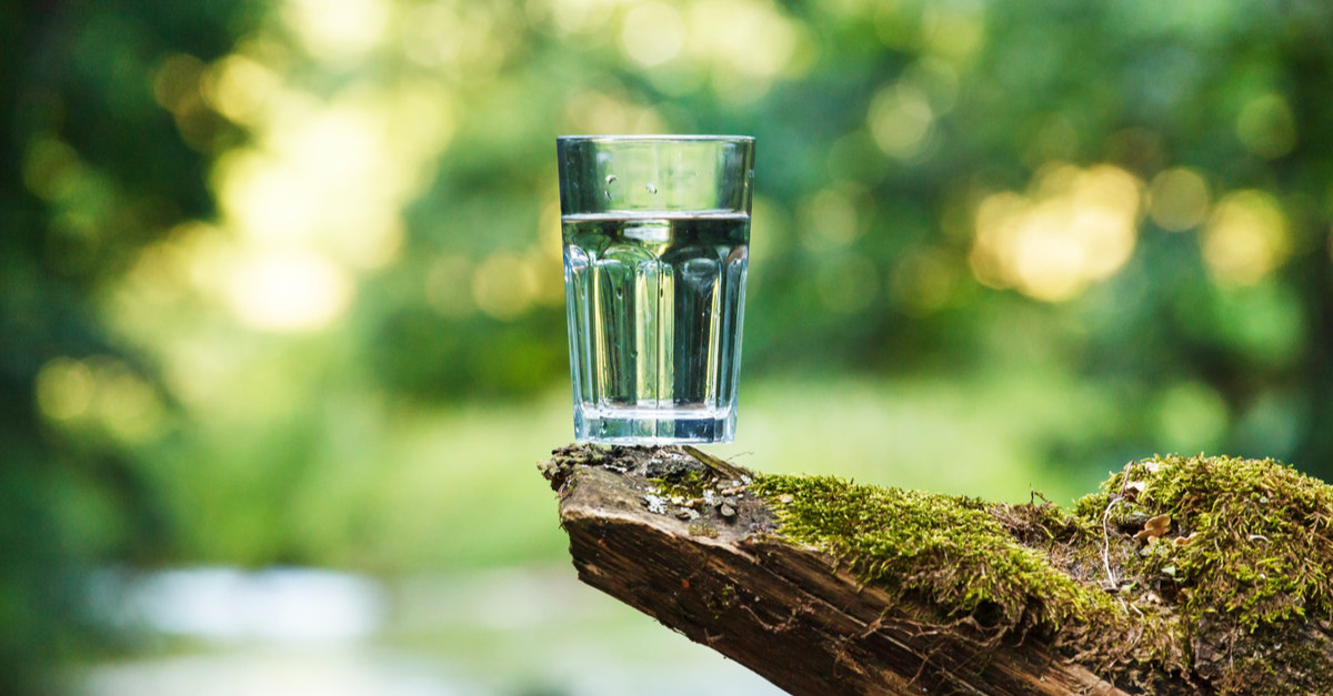 glass of reverse osmosis filtered water in the forest