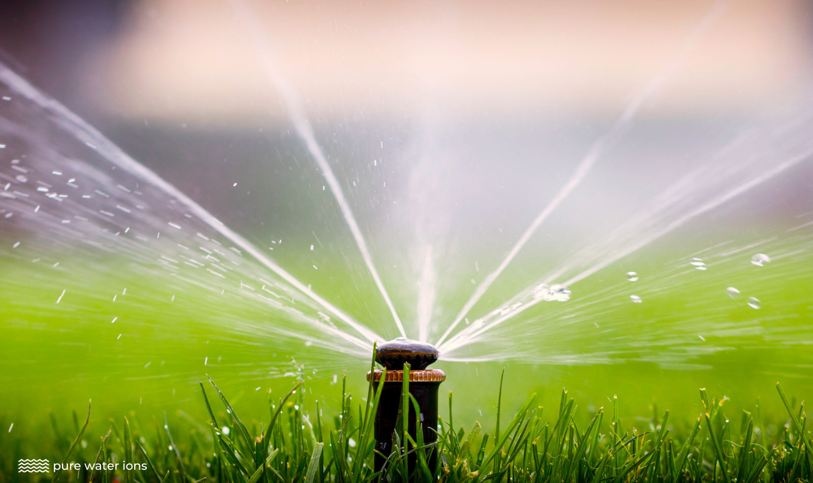 a water sprinkler watering a lawn