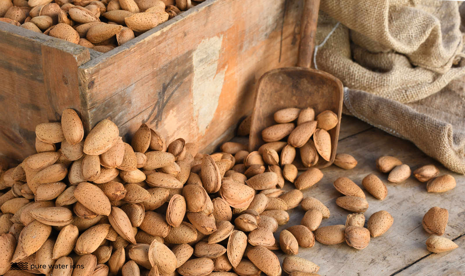 almond nuts in a box after harvest