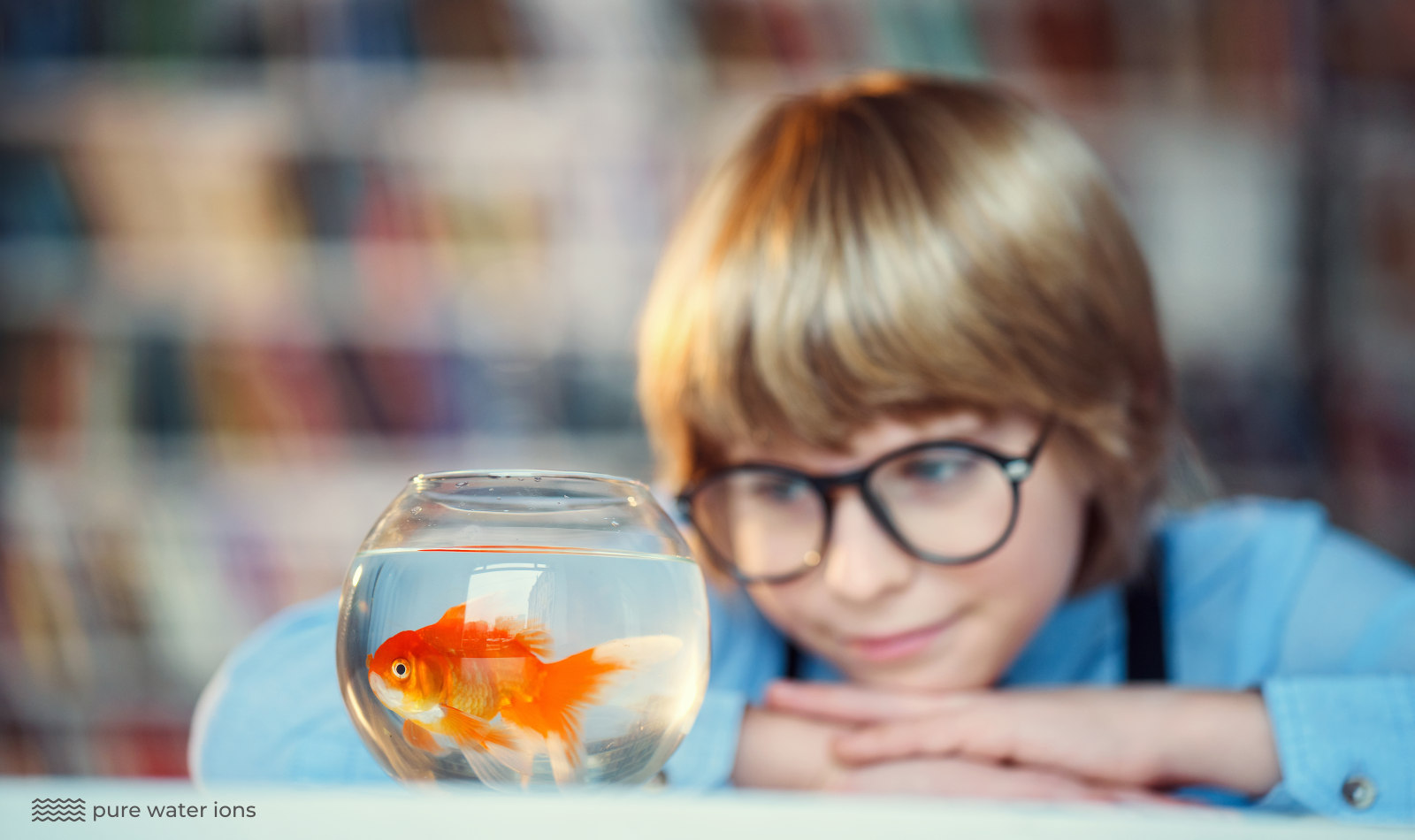 kid looking at a goldfish in a bowl